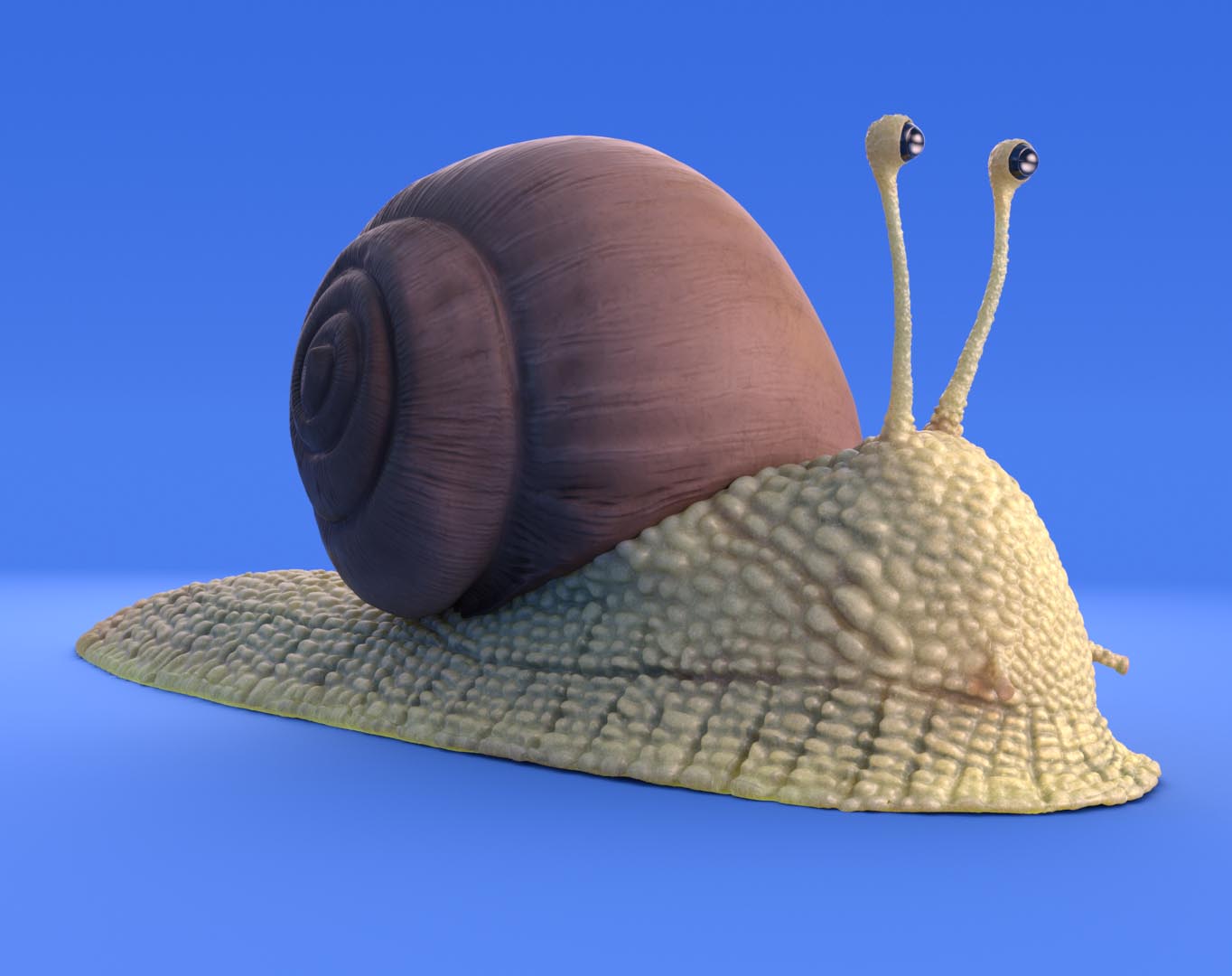 snail